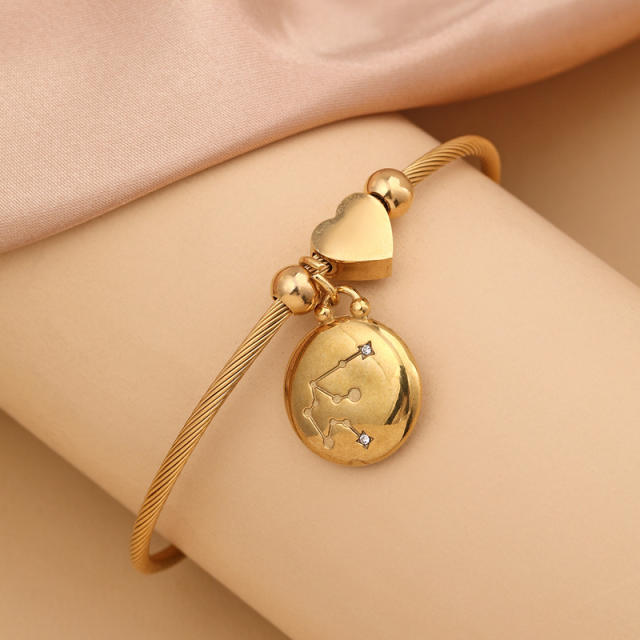 18KG stainless steel zodiac charm bangle