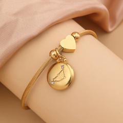 18KG stainless steel zodiac charm bangle