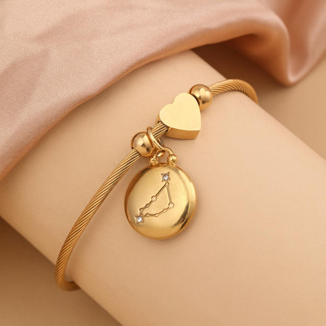 18KG stainless steel zodiac charm bangle