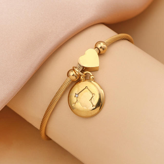 18KG stainless steel zodiac charm bangle