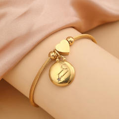 18KG stainless steel zodiac charm bangle