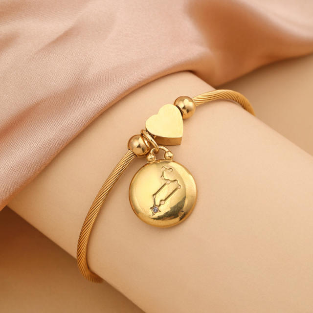18KG stainless steel zodiac charm bangle