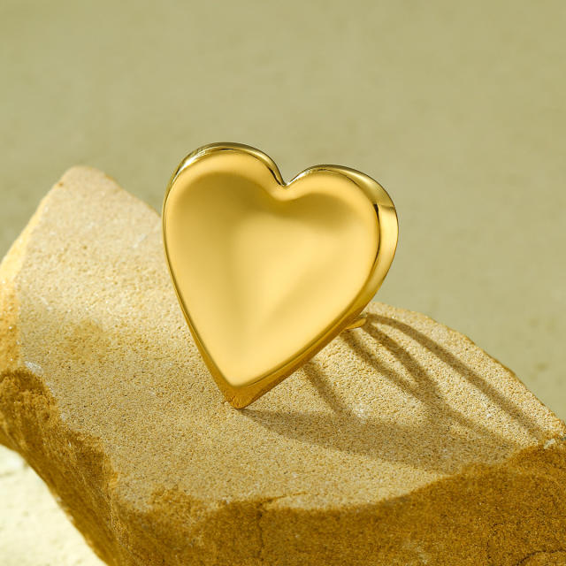 Concise geometric round heart stainless steel earrings rings