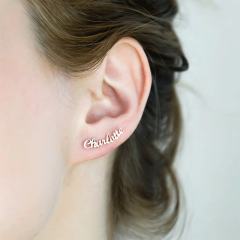 Personality custom name stainless steel earrings
