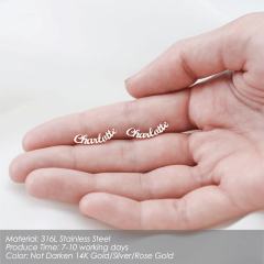 Personality custom name stainless steel earrings