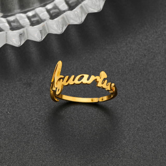 Concise zodiac stainless steel finger rings