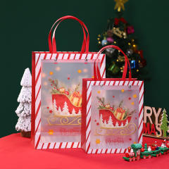 Christmas PP frosted design gift bag