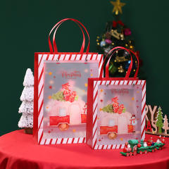 Christmas PP frosted design gift bag