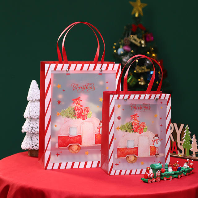 Christmas PP frosted design gift bag
