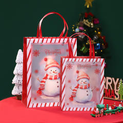 Christmas PP frosted design gift bag