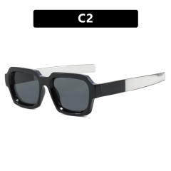 Small Frame Square Sunglasses 2024 New Trendy Sunglasses for Men Women