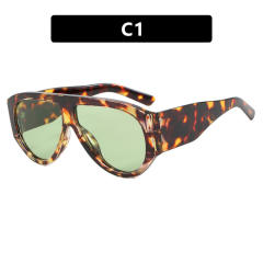 Women's Sunglasses Fashion Sunglasses 2024 New Personalized Sunglasses
