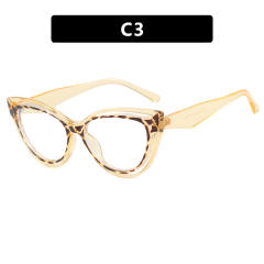 C3
