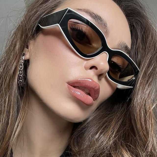 Stroke Color Matching Sunglasses Simple 2025 New trendy sunglasses