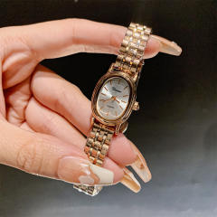 Luxury stainless steel band oval shape small dial watch for women
