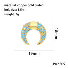 P02209