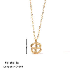 Dainty zodiac pendant stainless steel necklace