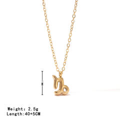 Dainty zodiac pendant stainless steel necklace