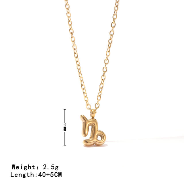 Dainty zodiac pendant stainless steel necklace