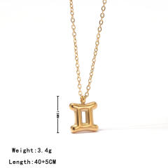 Dainty zodiac pendant stainless steel necklace