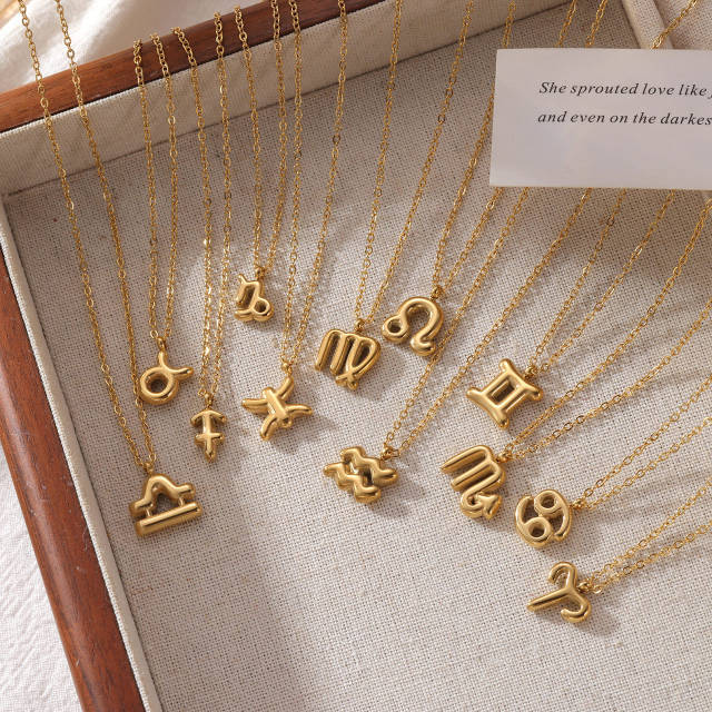 Dainty zodiac pendant stainless steel necklace