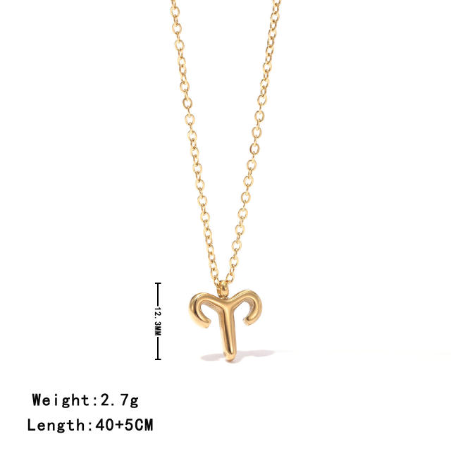 Dainty zodiac pendant stainless steel necklace