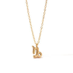 Dainty zodiac pendant stainless steel necklace