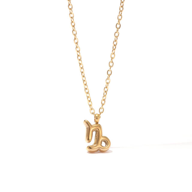 Dainty zodiac pendant stainless steel necklace