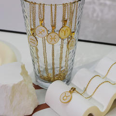 18KG white shell roune piece pendant zodiac stainless steel necklace