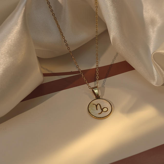18KG white shell roune piece pendant zodiac stainless steel necklace