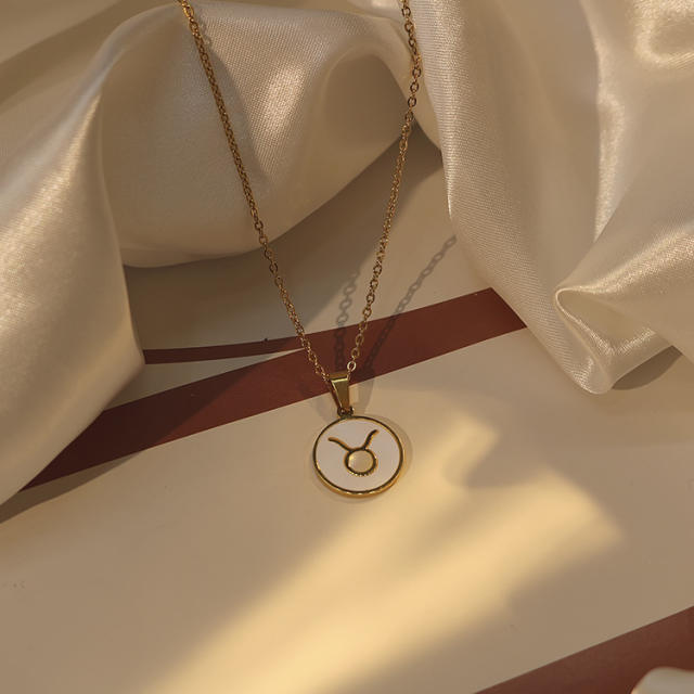18KG white shell roune piece pendant zodiac stainless steel necklace