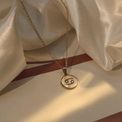 18KG white shell roune piece pendant zodiac stainless steel necklace