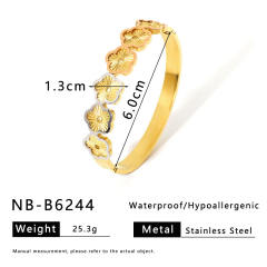 NB-B6244