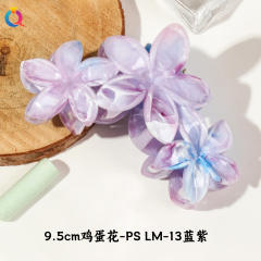 9.5cm-color 2