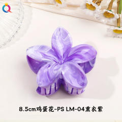 8.5cm-color 6