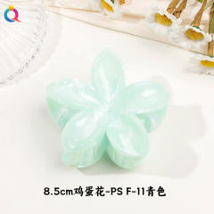 8.5cm-color 10