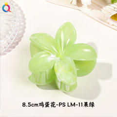 8.5cm-color 19