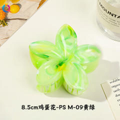 8.5cm-color 29