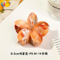 8.5cm-color 31