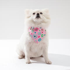 Summer sweet colorful pattern pets bandana