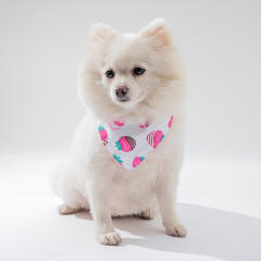 Sweet pattern colorful summer fruit pets dog bandana