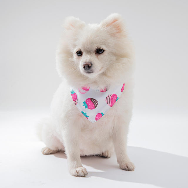 Sweet pattern colorful summer fruit pets dog bandana