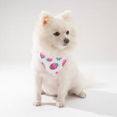 Sweet pattern colorful summer fruit pets dog bandana