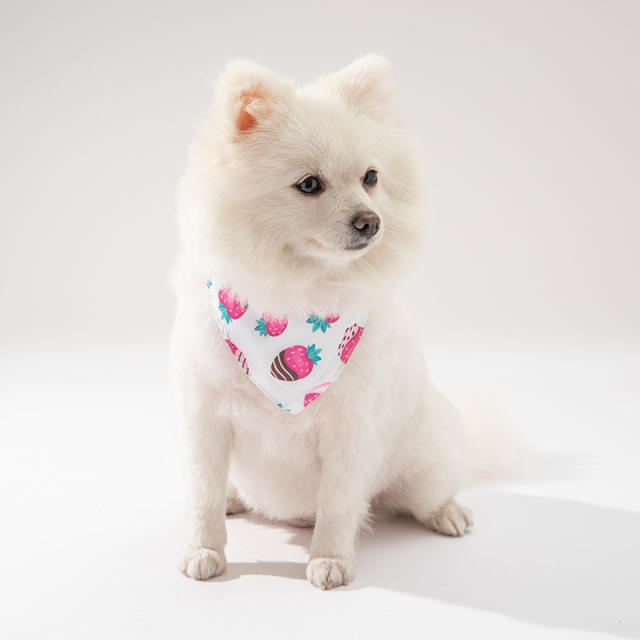 Sweet pattern colorful summer fruit pets dog bandana