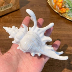 Summer holiday unique conch design hair claw clips