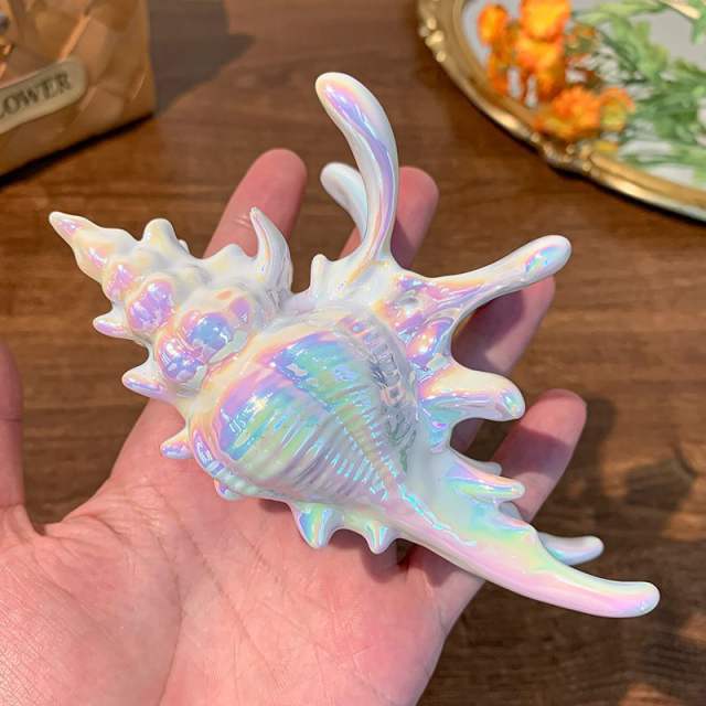 Summer holiday unique conch design hair claw clips