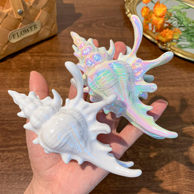 Summer holiday unique conch design hair claw clips