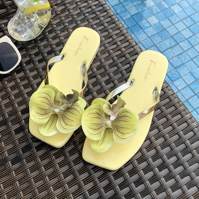 French Style Gentle Fairy Sandals Slippers Women's Summer Phalaenopsis Seaside Holiday Flip-Flops