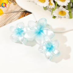 Spring Summer Gradient Flower Grab Clip hot sale hair claw cilps