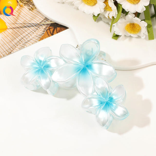 Spring Summer Gradient Flower Grab Clip hot sale hair claw cilps